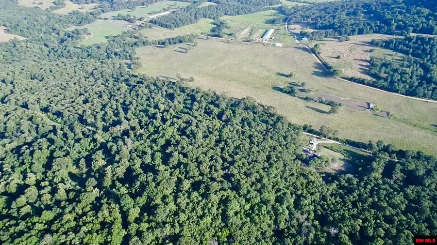 144-00009-001 CR 993, Green Forest, AR 72638 - Image #3