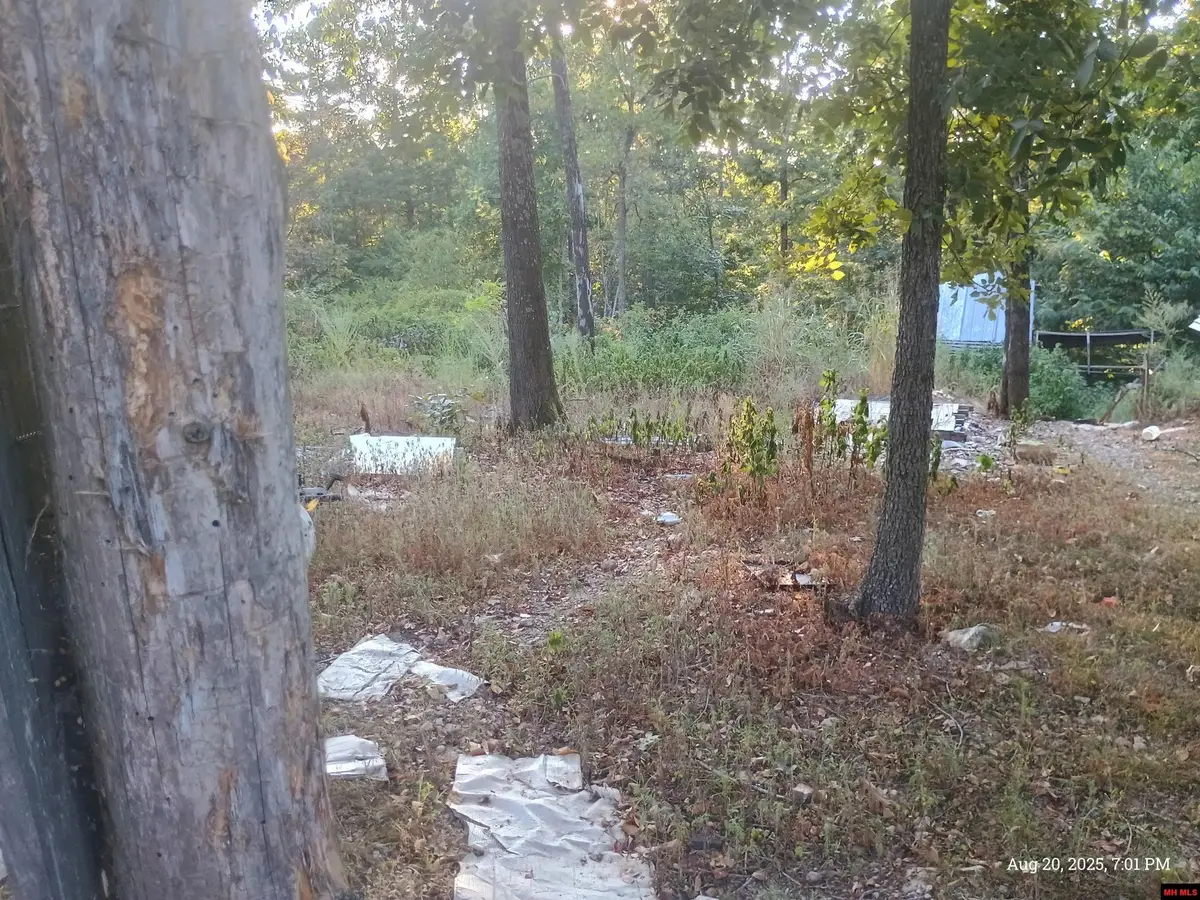 1158 BRUSHY FORK ROAD, Yellville, AR 72687 - #1