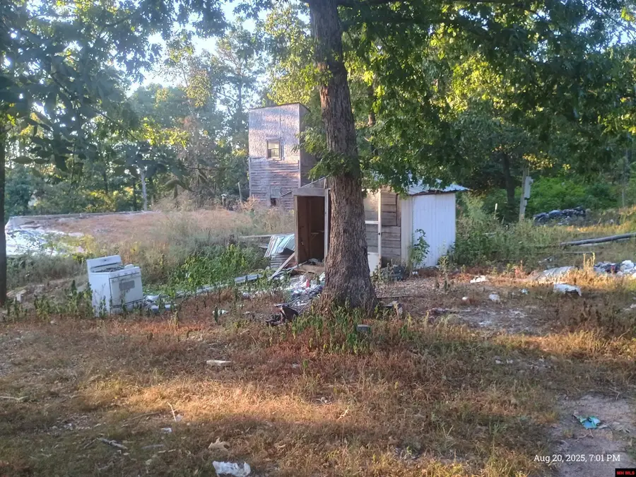 1158 BRUSHY FORK ROAD, Yellville, AR 72687 - #2