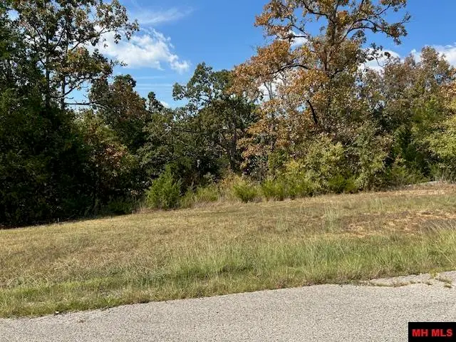 TBD CONCORD LANE, Mountain Home, AR 72653 - Image #1