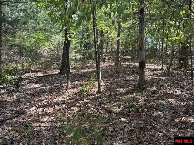 TBD CONCORD LANE, Mountain Home, AR 72653 - Image #3