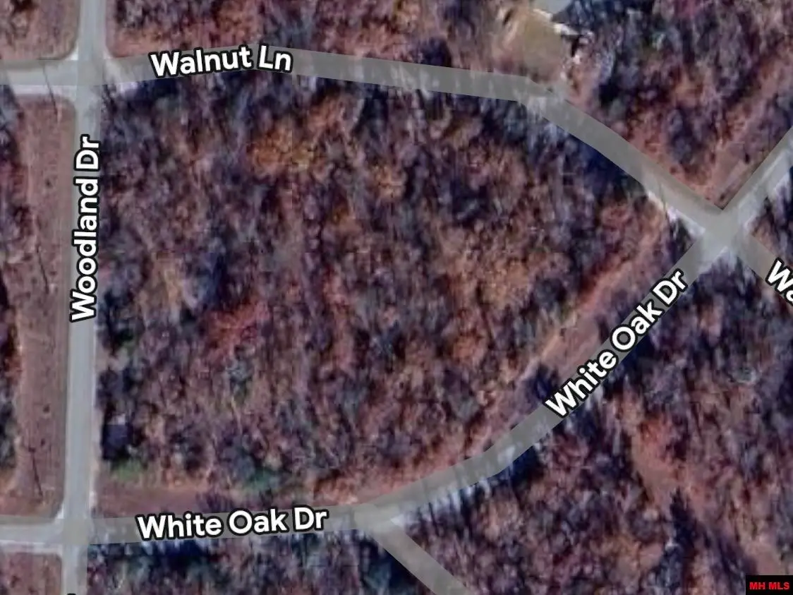 709 WALNUT LANE, Horseshoe Bend, AR 72512 - Image #1