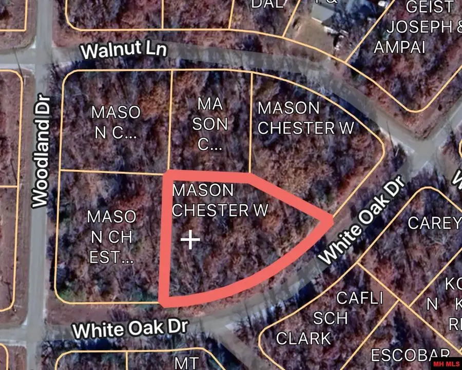 709 WALNUT LANE, Horseshoe Bend, AR 72512 - Image #2