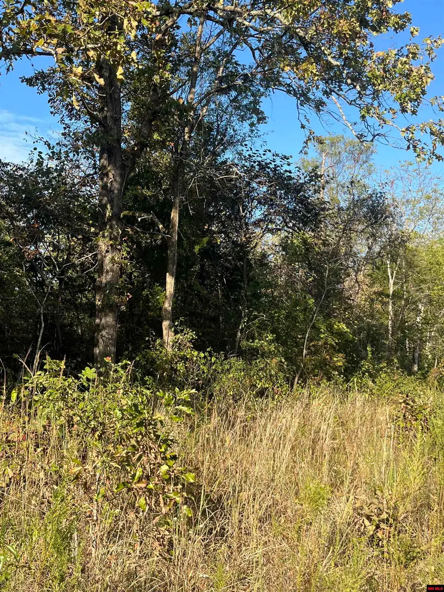 2 SILVER FOX RIDGE ROAD, Salem, AR 72576 - Image #3