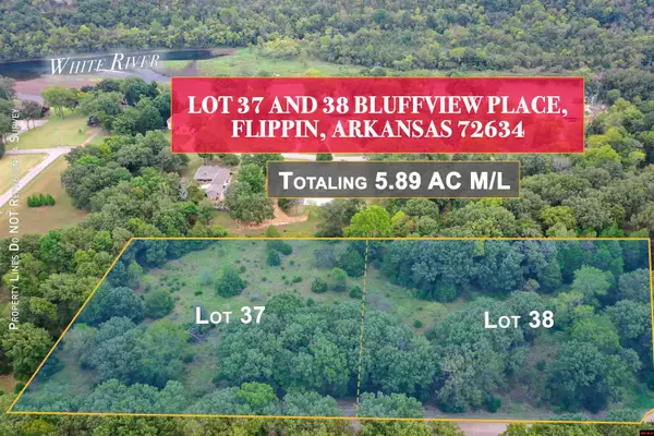Lot 38 BLUFFVIEW PLACE, Flippin, AR 72634