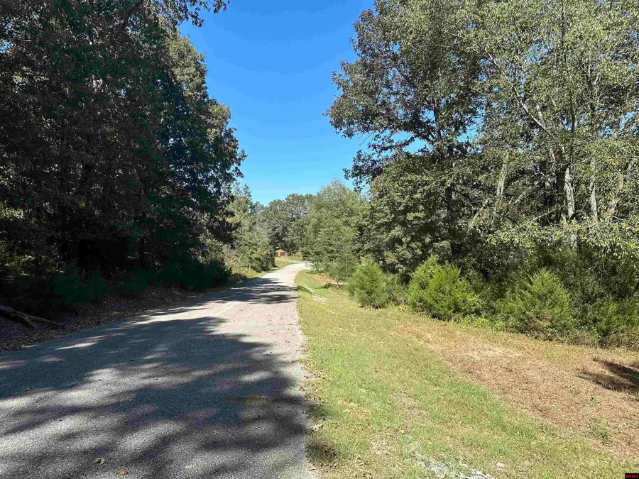 Lot 38 BLUFFVIEW PLACE, Flippin, AR 72634 - Image #3