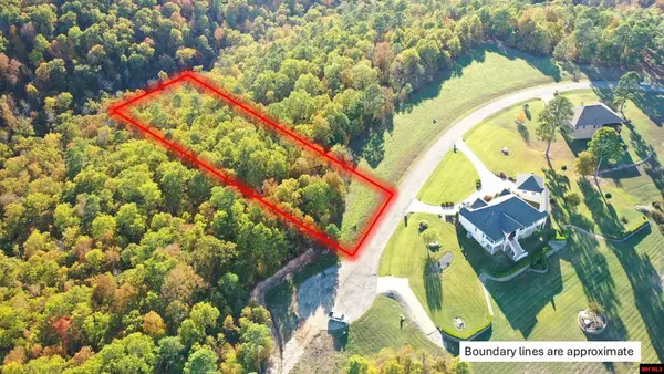 010-11219-046 SWISS ALPS LANE, Mountain Home, AR 72653