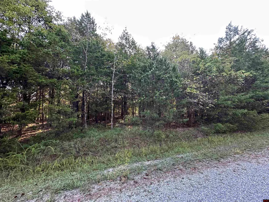002-04923-009 HAND COVE ROAD, Elizabeth, AR 72531 - Image #2