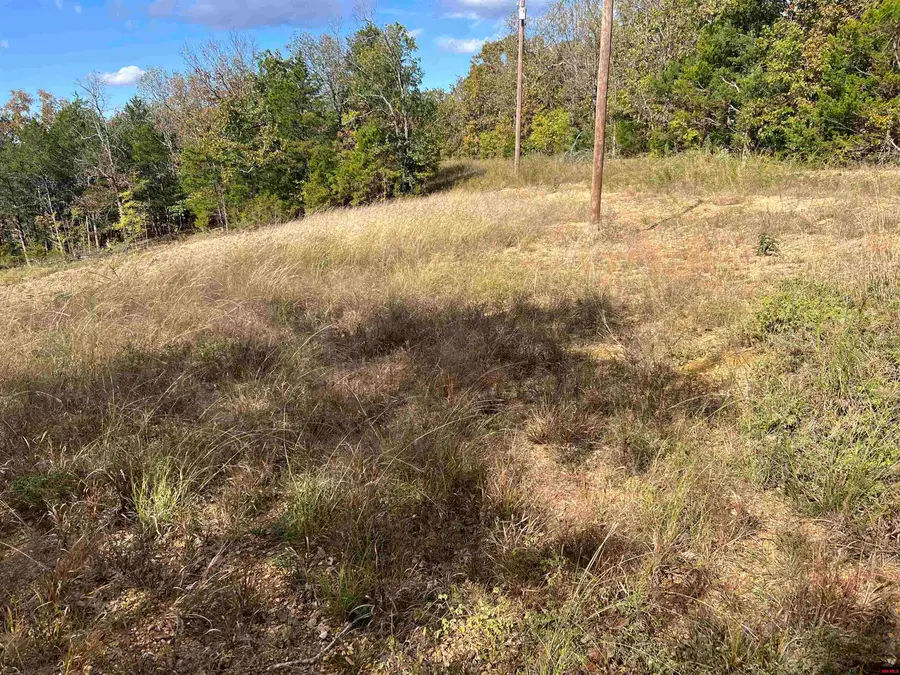 8604 HWY 125 NORTH, Peel, AR 72668 - Image #3