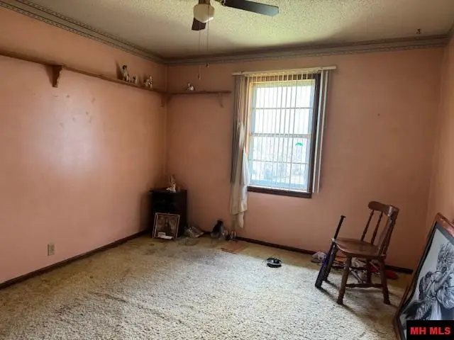 119 W JOHNSON DRIVE, Flippin, AR 72634 - Image #3