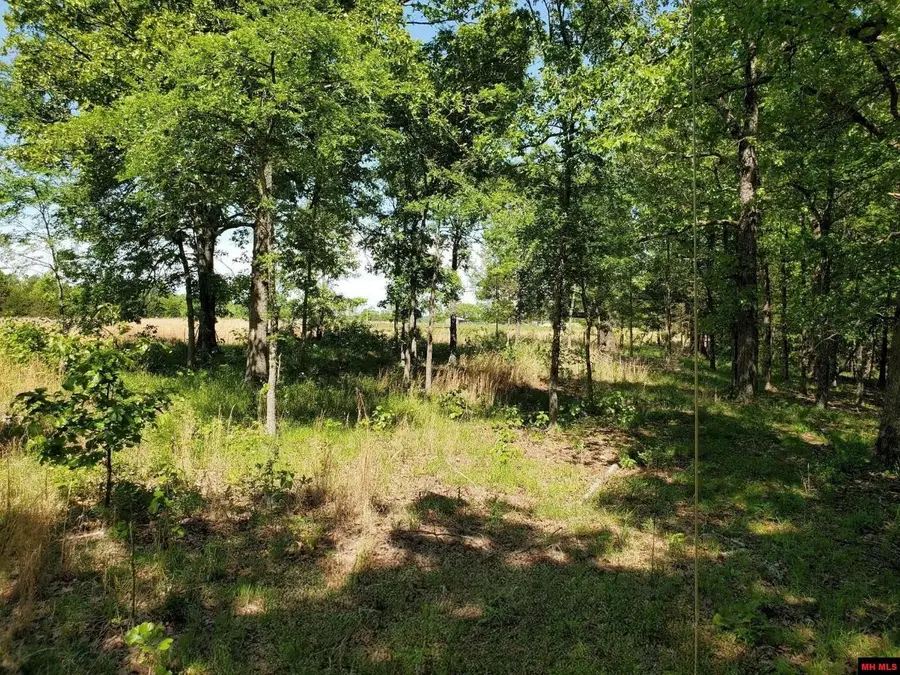 6537 MOUNT CALM ROAD, Gepp, AR 72538 - Image #3