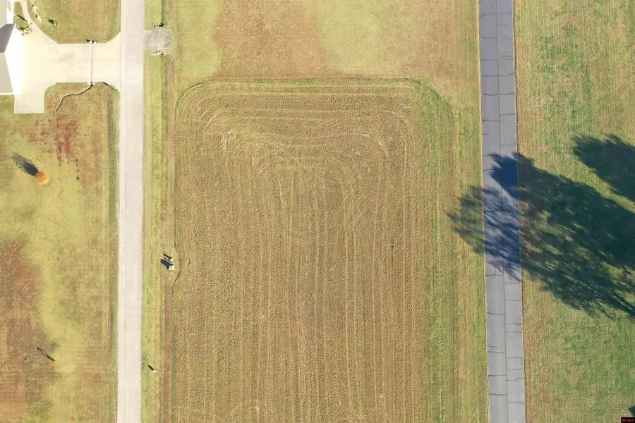 002-10367-034 VALLEY AIRPORT PLACE, Cotter, AR 72626 - Image #3