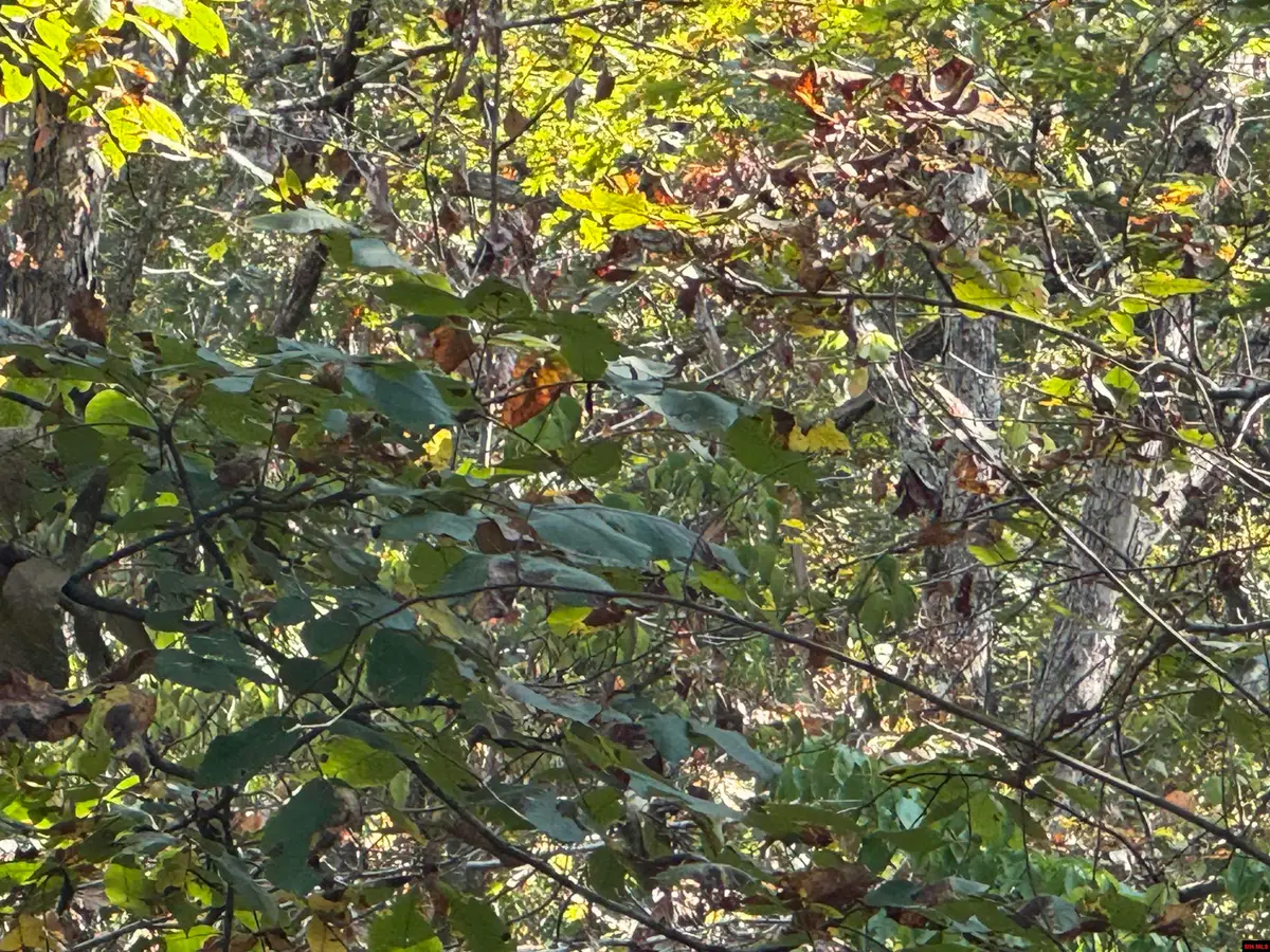 00 HILLSIDE ROAD, Flippin, AR 72634 - Image #1