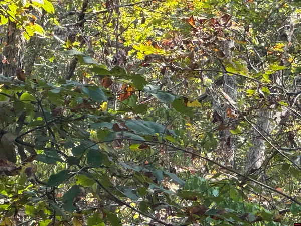 00 HILLSIDE ROAD, Flippin, AR 72634