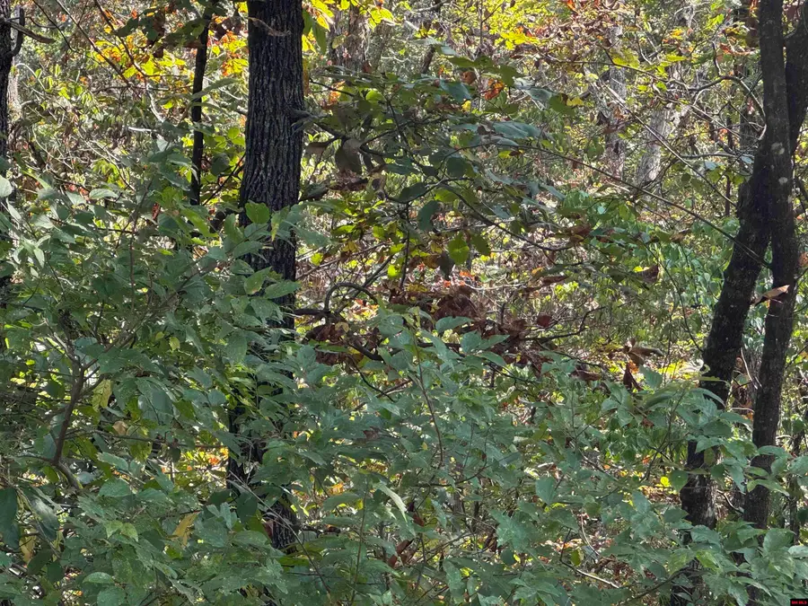 00 HILLSIDE ROAD, Flippin, AR 72634 - Image #2