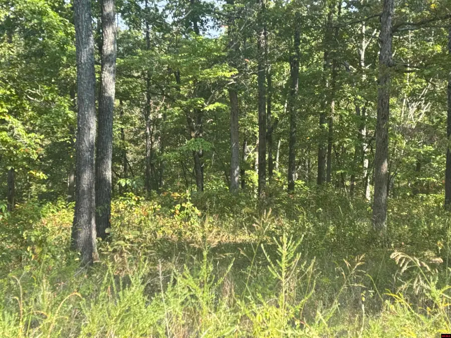 00 HILLSIDE ROAD, Flippin, AR 72634 - Image #3