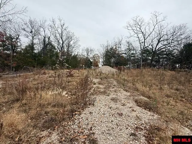 002-10735-000 WILDWOOD CIRCLE, Mountain Home, AR 72653 - Image #2