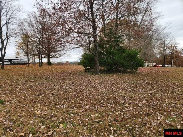 Lots 118 & 119 SURREY, Lakeview, AR 72642 - Image #1