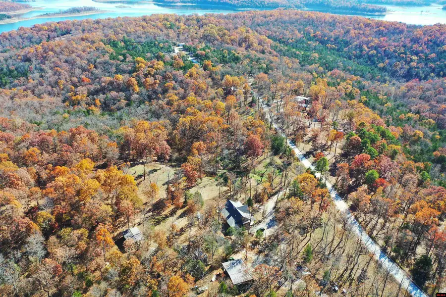 768 CR 153, Elizabeth, AR 72531 - #3