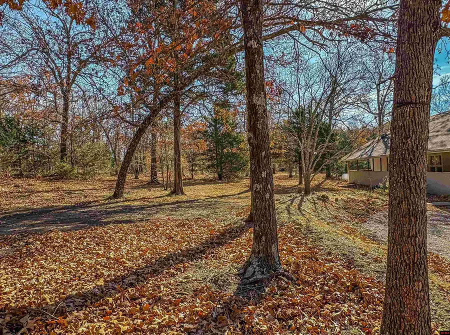 941 MC 5025, Valley Springs, AR 72682 - Image #3