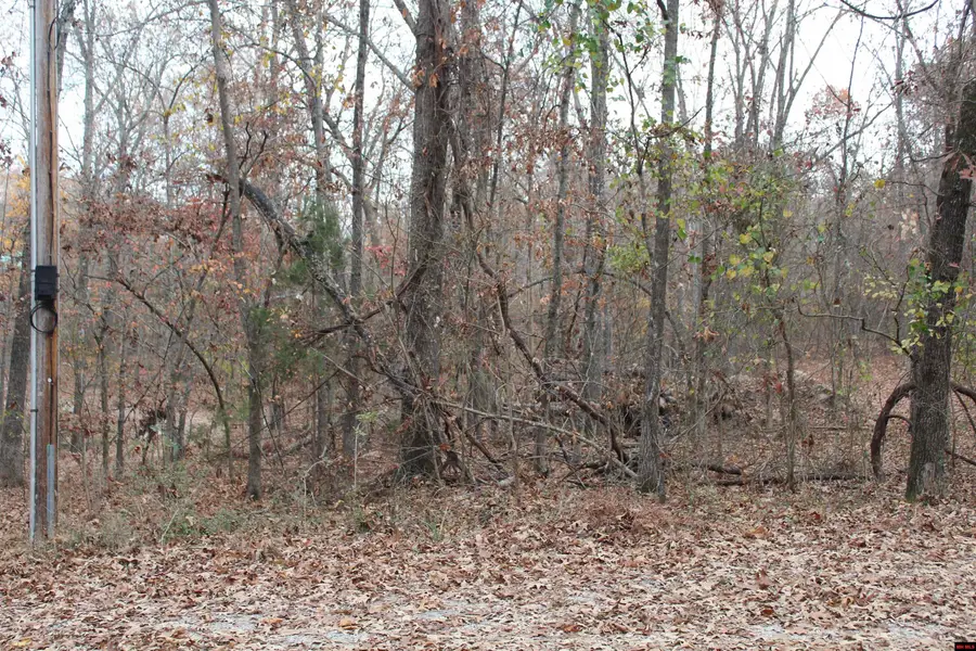 63 FLINTRIDGE COURT, Mountain Home, AR 72653 - Image #2