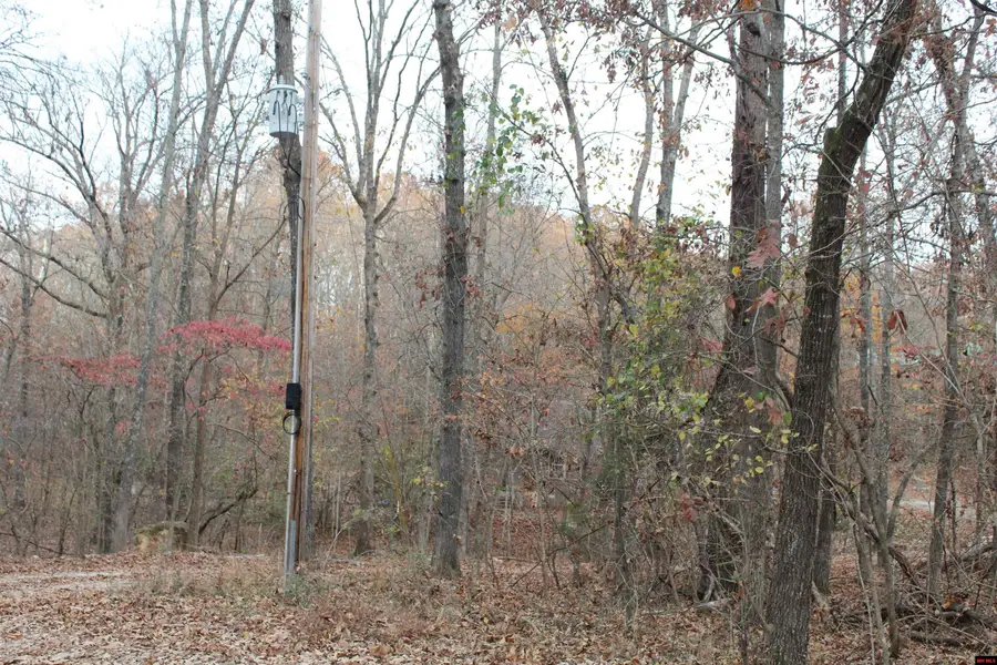 63 FLINTRIDGE COURT, Mountain Home, AR 72653 - Image #3