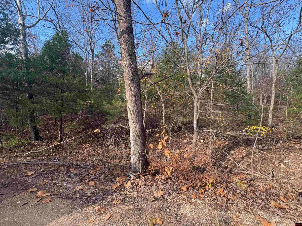 001-03671-002 CRYSTAL OAKS TRAIL, Gamaliel, AR 72537 - Image #1