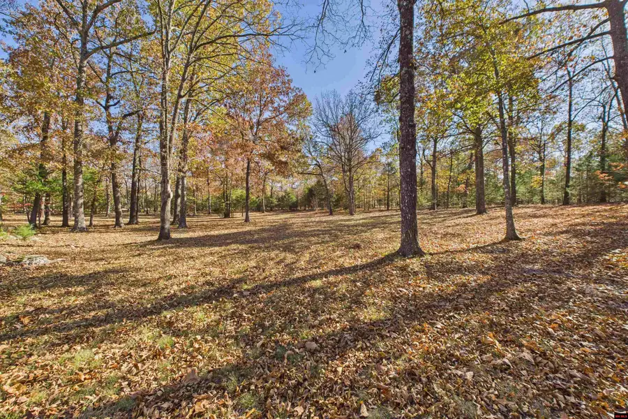 380 PLAINS DRIVE, Mountain Home, AR 72653 - Image #2