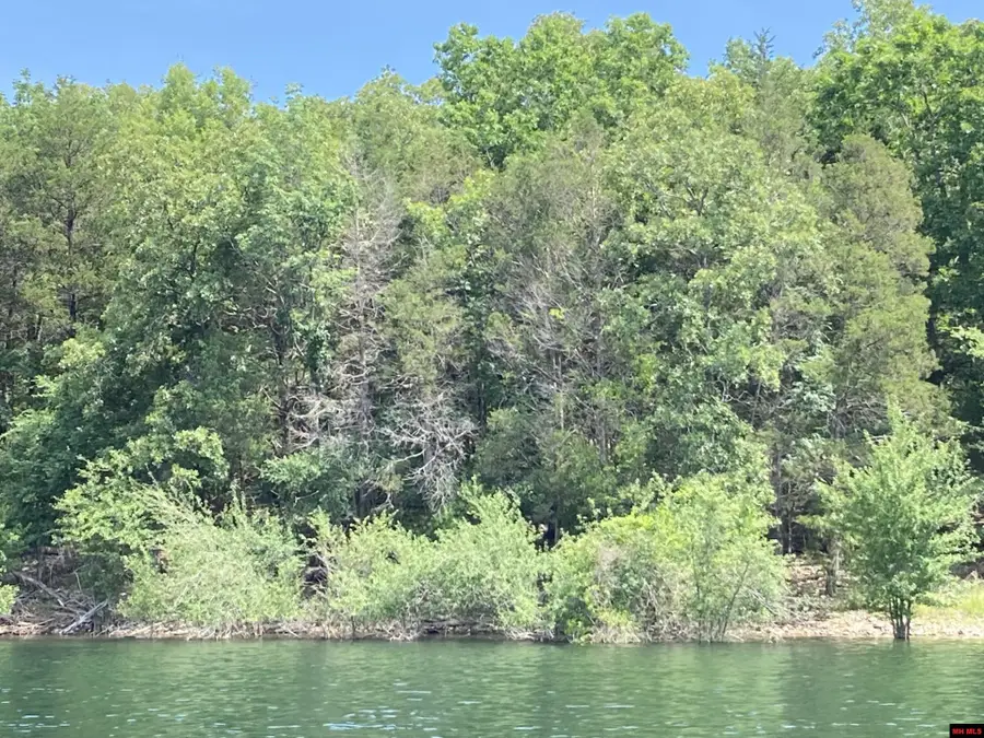 001-05581-000 MC 803, Yellville, AR 72687 - Image #3