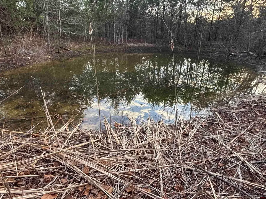 790-00918-000 MC 8057, Yellville, AR 72687 - Image #2