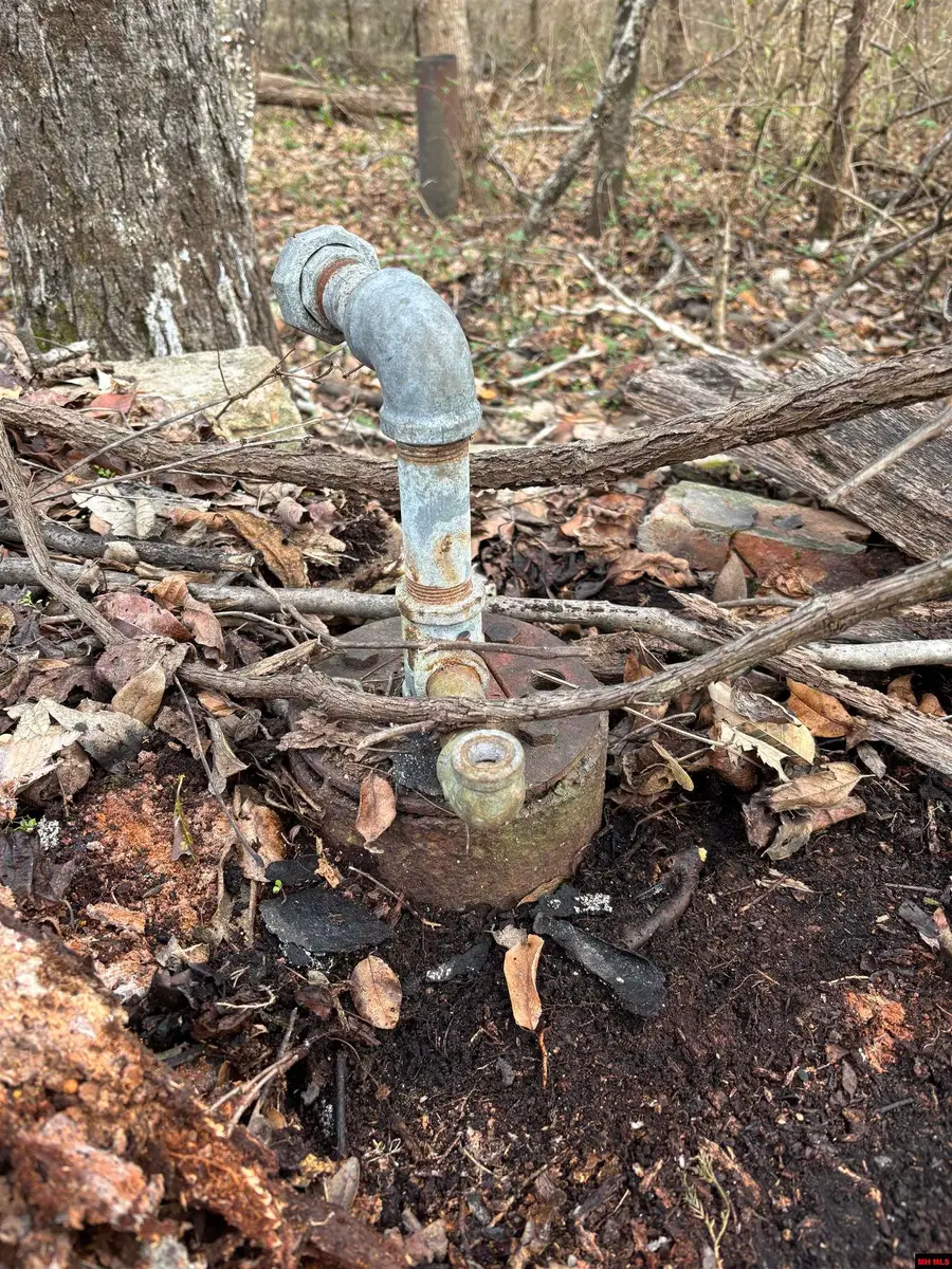 790-00918-000 MC 8057, Yellville, AR 72687 - Image #3