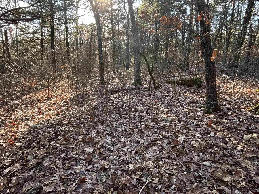 555-00002-000 MC 3063, Yellville, AR 72687 - Image #2