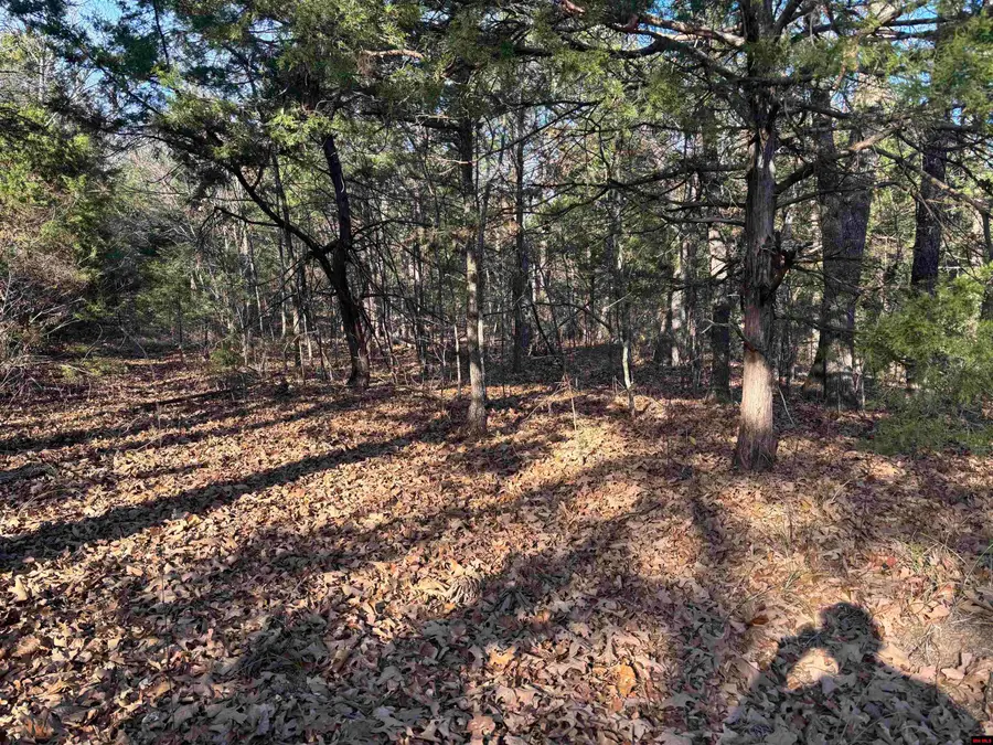 555-00002-000 MC 3063, Yellville, AR 72687 - Image #3