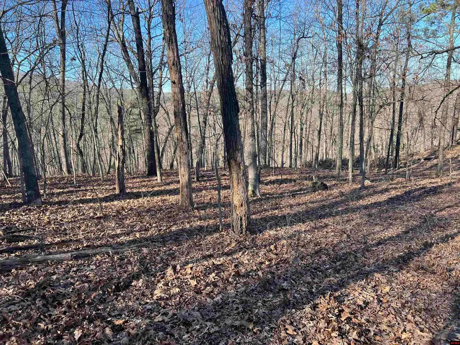 MC 8060, Yellville, AR 72687 - Image #2