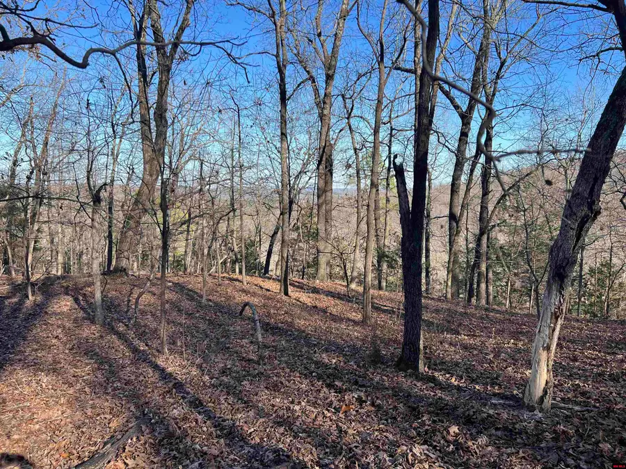 MC 8060, Yellville, AR 72687 - Image #3