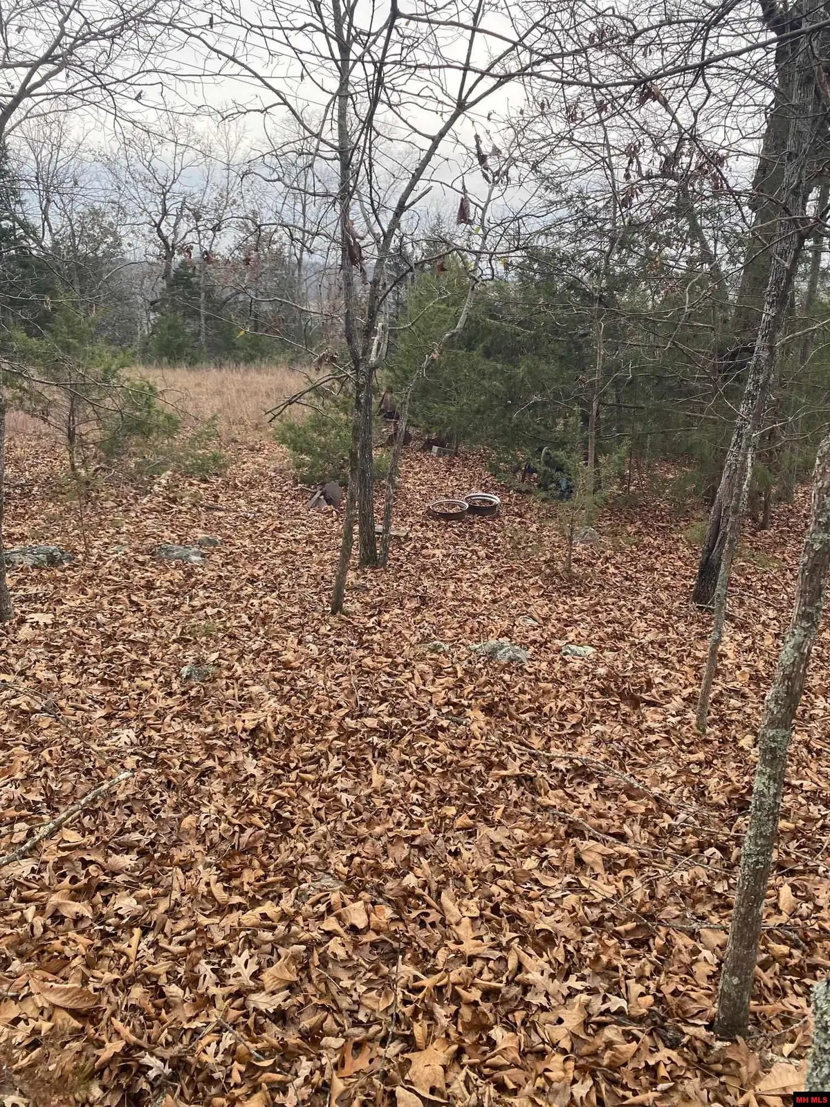 001-02798-001 ISLAND HEAD LANE, Flippin, AR 72634 - Image #1