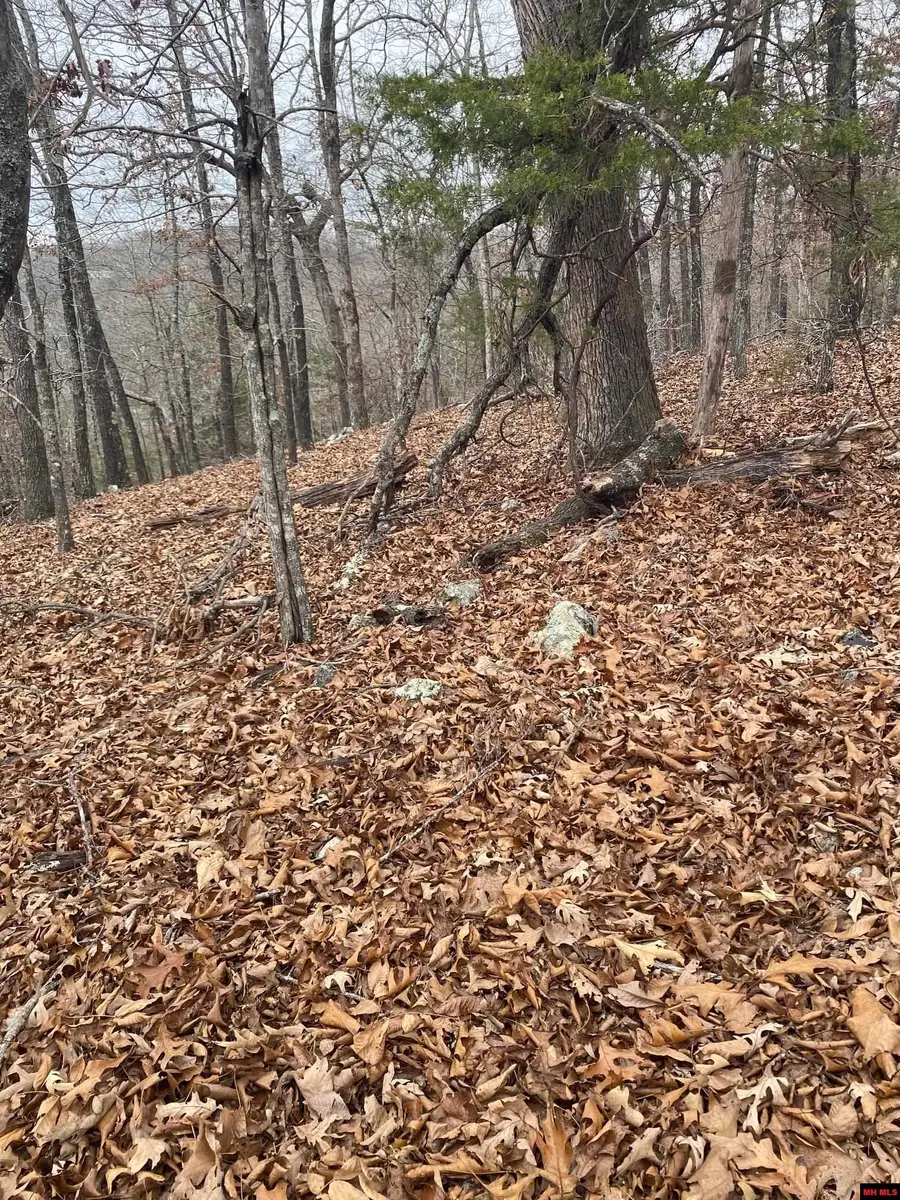 001-02798-001 ISLAND HEAD LANE, Flippin, AR 72634 - Image #2