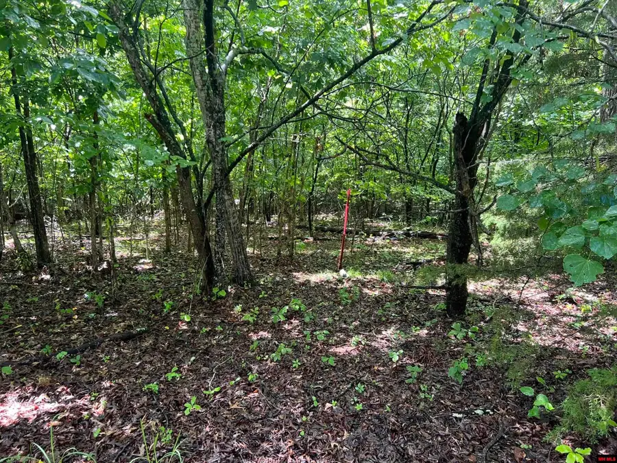 006-02993-000 HWY 178, Lakeview, AR 72642 - Image #3