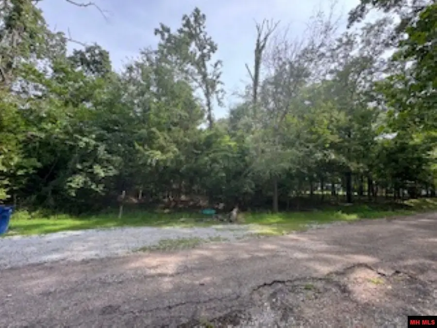 002-05048-000 SARATOGA PLACE, Mountain Home, AR 72653 - Image #3