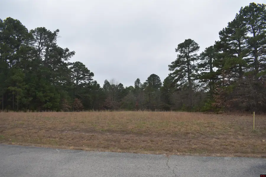 010-11219-038 SWISS ALPS LANE, Mountain Home, AR 72653 - Image #2