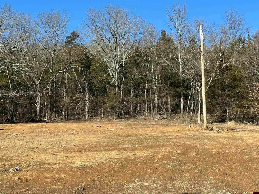 5638 E HWY 202, Flippin, AR 72634 - #2