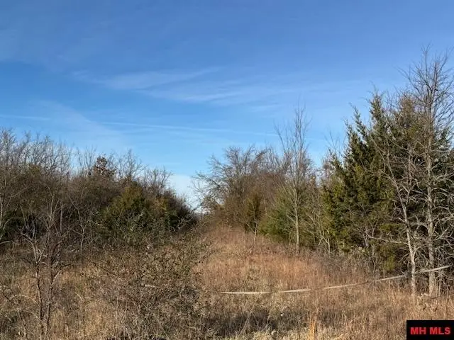 001-07841-000 HWY 5 NORTH, Mountain Home, AR 72653 - #1