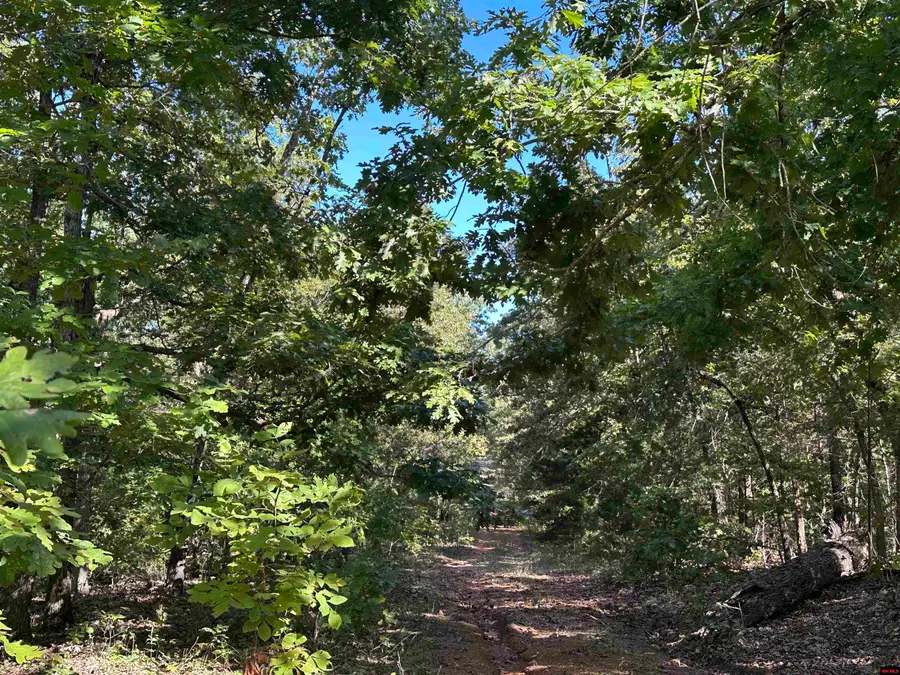 1609 OLD STRAWBERRY LANE, Horseshoe Bend, AR 72512 - Image #2