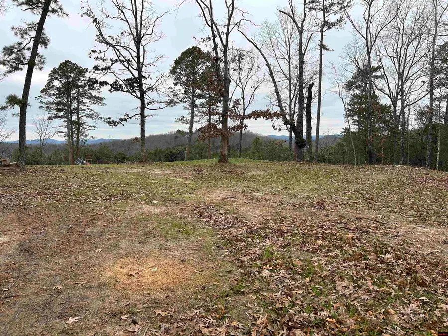 6895 JUMBO ROAD, Athens, AR 72566 - Image #3