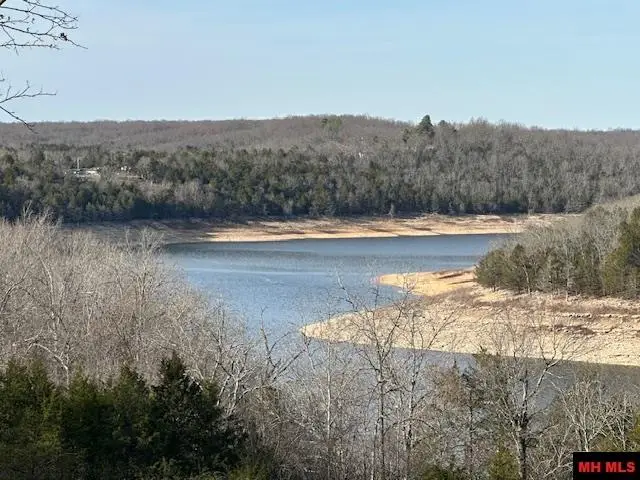 19 GOLDEN ACRE PLACE, Midway, AR 72651 - Image #3