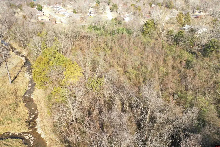 007-01243-000 PARKVIEW CIRCLE, Mountain Home, AR 72653 - Image #2