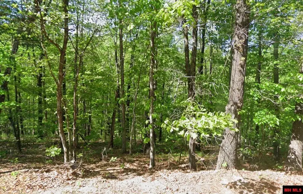 16-09756-000 CHELSEA LANE, Bella Vista, AR 72715 - Image #1