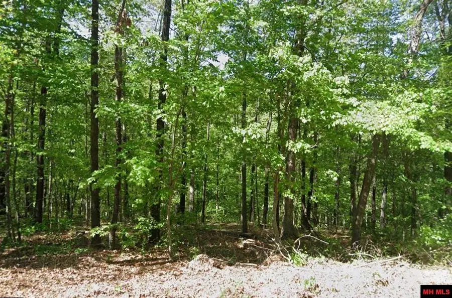 16-09756-000 CHELSEA LANE, Bella Vista, AR 72715 - Image #2