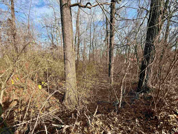 002-06338-042 BAYPOINT COURT, Mountain Home, AR 72653