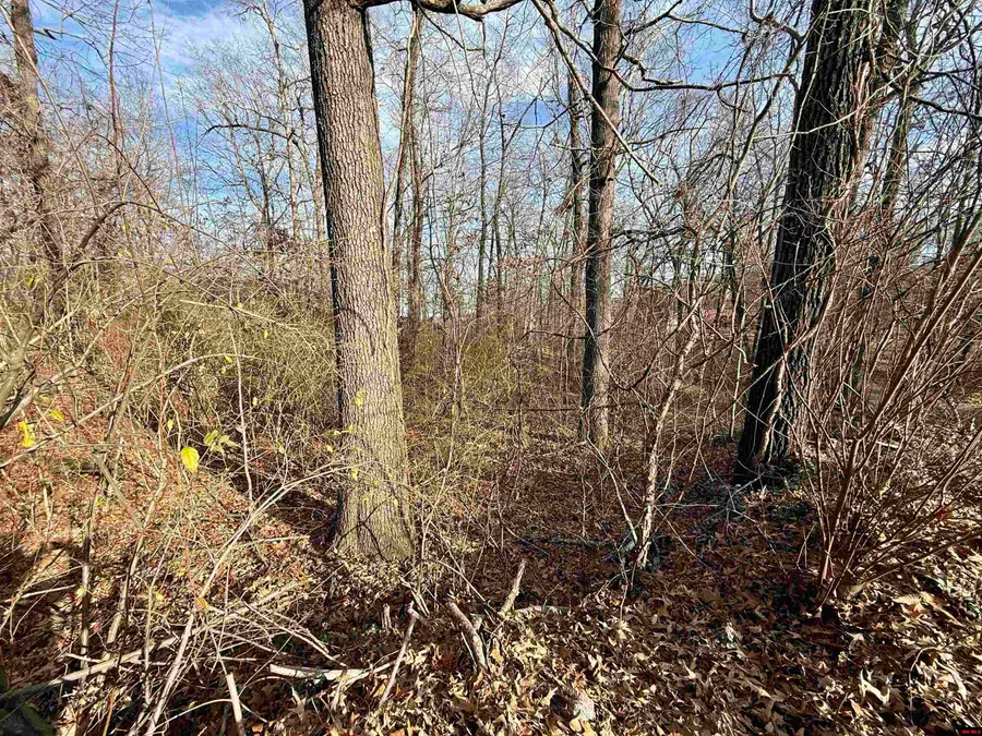 002-06338-042 BAYPOINT COURT, Mountain Home, AR 72653 - Image #2